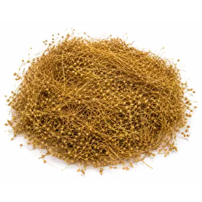 Parpadagam